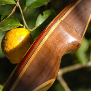 Inyoni Bow